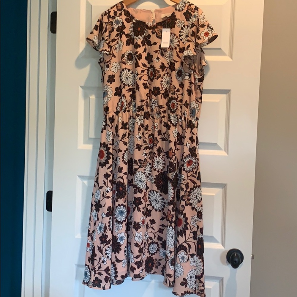 Pink floral Loft Dress ***New with tags!!